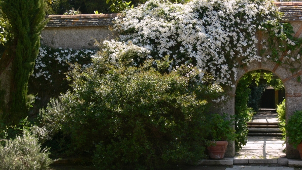 Bois des Moutiers (285) Mai 2012